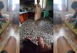 House Owner Horny Son Masturbating Infront Of Maid Aunty