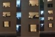 Jaipur Holiday Viral Sex Mms Video