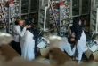 Medical Store Manager Affair Women IP CAM Capture